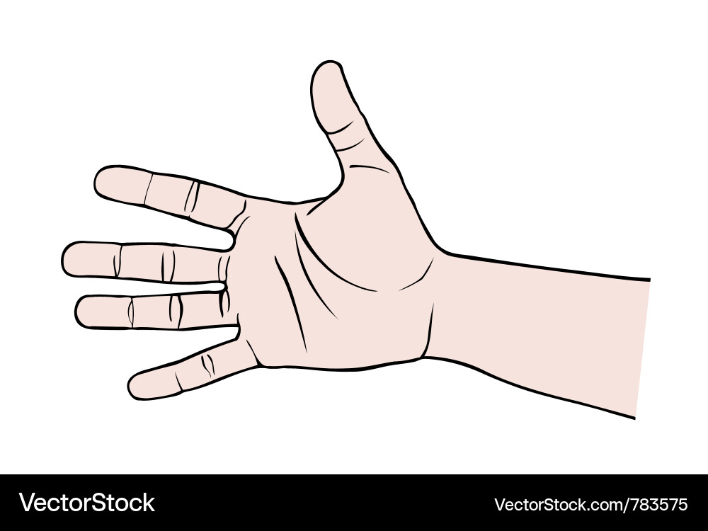 Hand Royalty Free Vector Image VectorStock