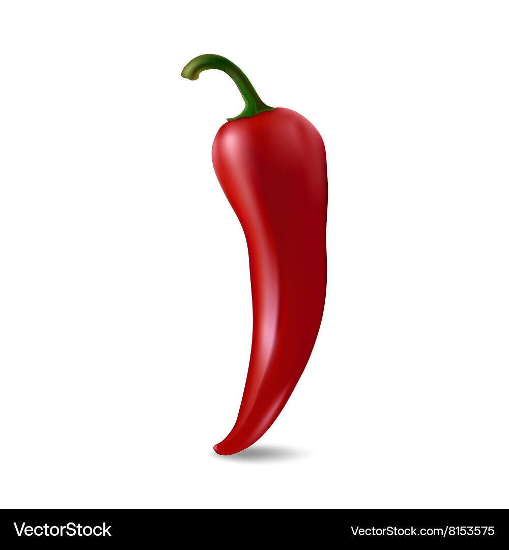 Red chilli pepper Royalty Free Vector Image - VectorStock