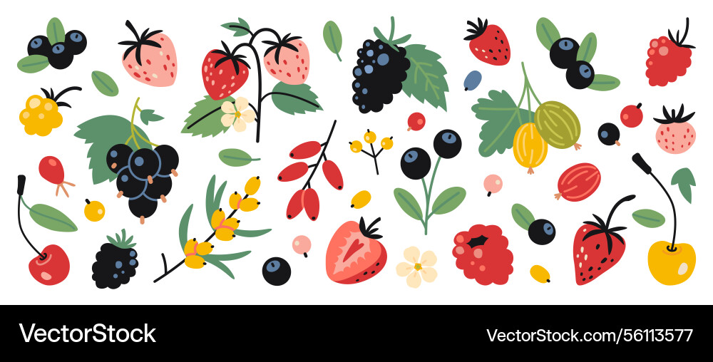Set of berries like raspberry strawberry Vector Image