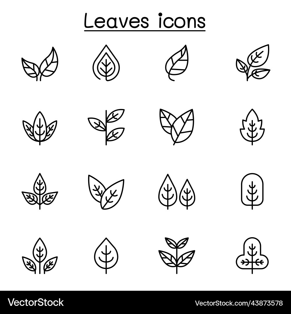 Leaf icon set in thin line style vector image