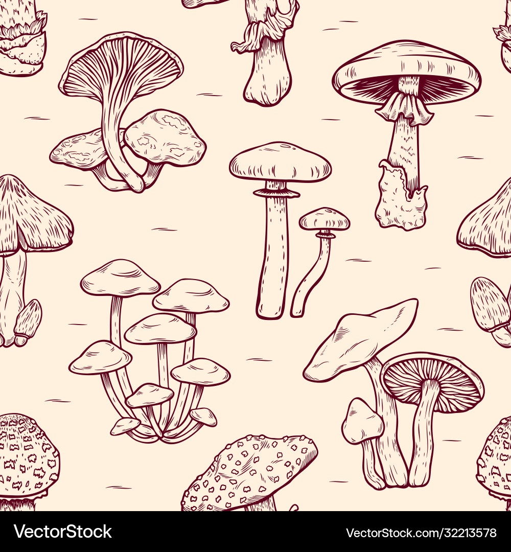 Seamless pattern forest types poisonous Seamless pattern forest types poisonous vector image