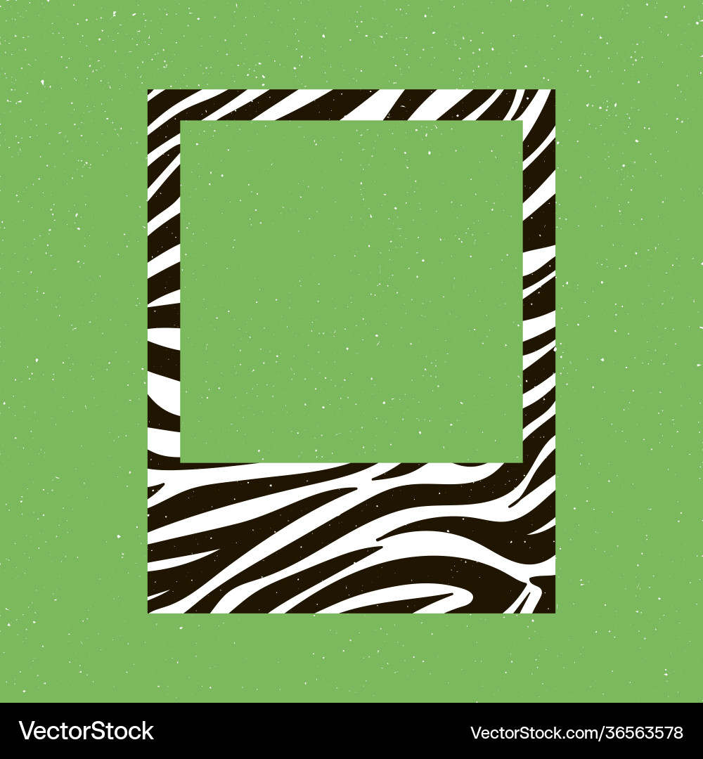 Zebra background photo frame Zebra background photo frame vector image