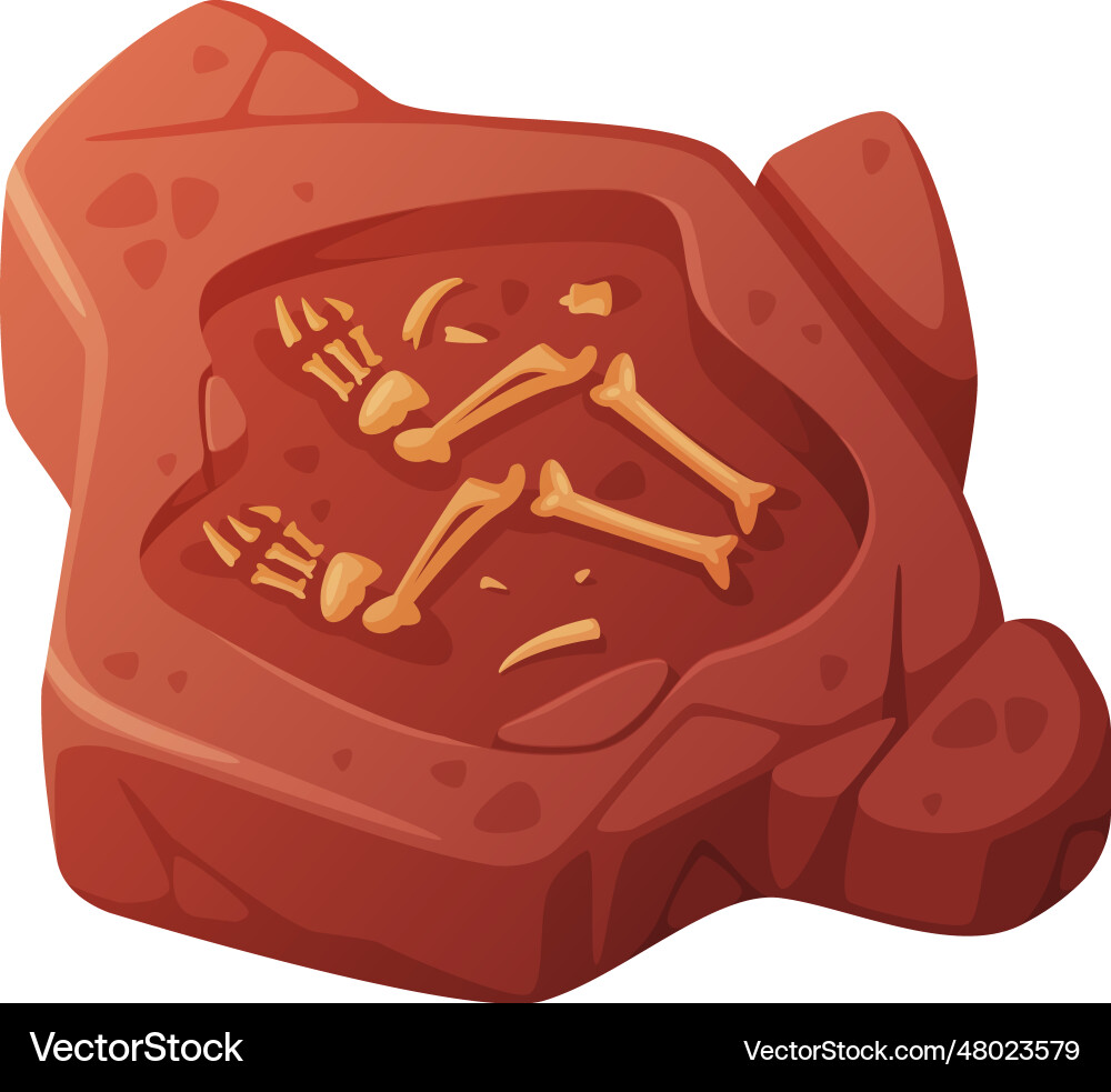 Fossil obtained by digging rested in soil Vector Image