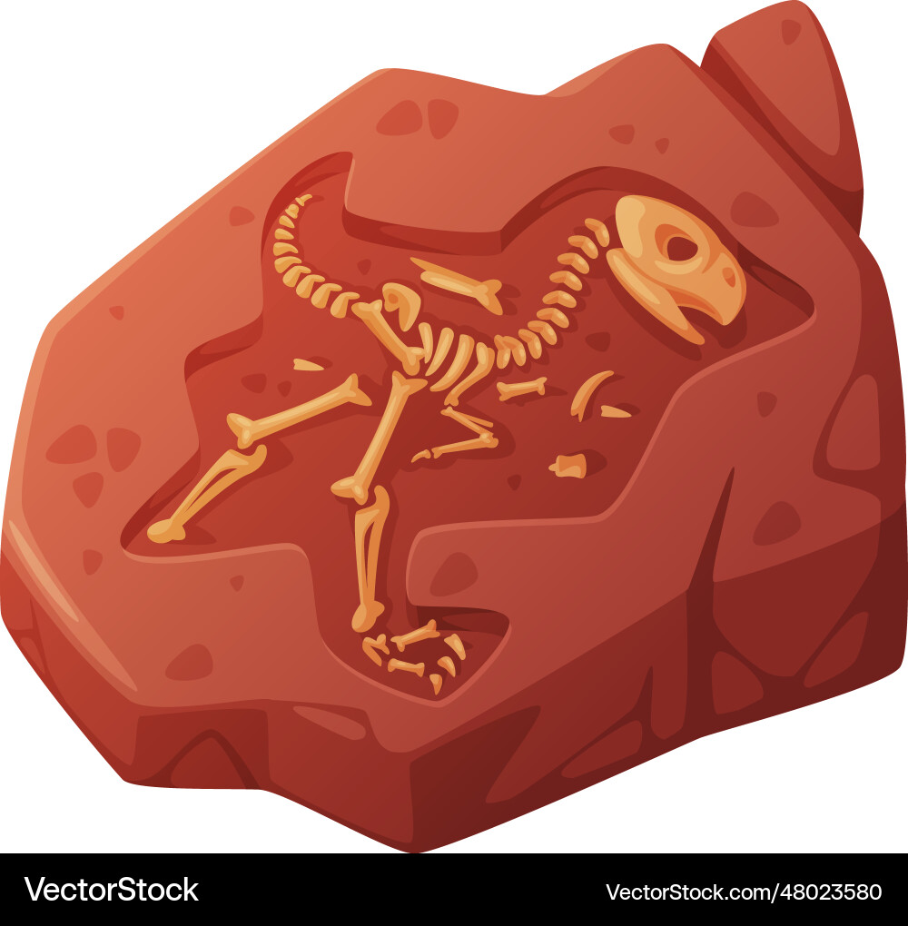 Fossil obtained by digging rested in soil Fossil obtained by digging rested in soil vector image