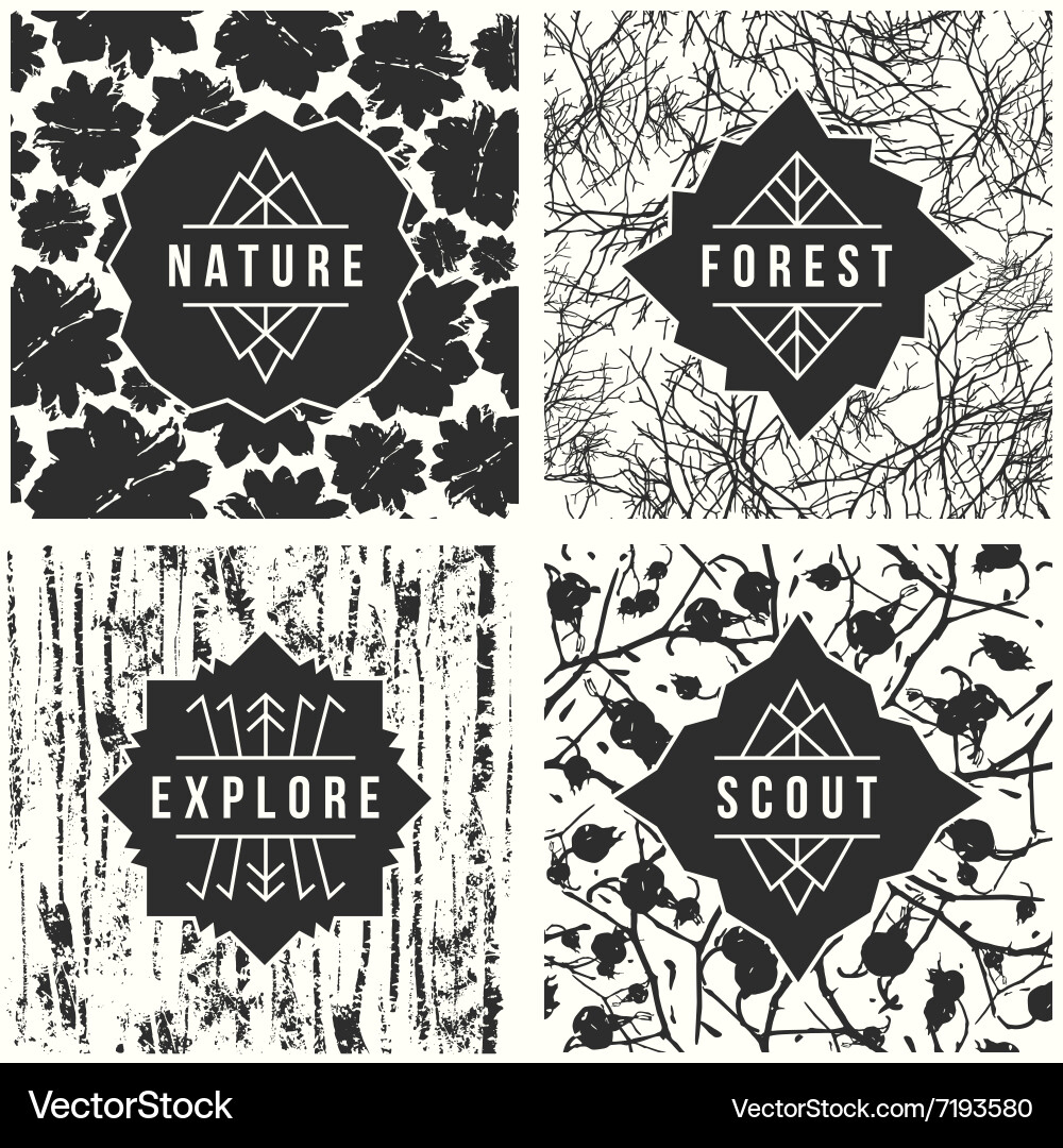 Rustic Label & Pattern Collection vector image