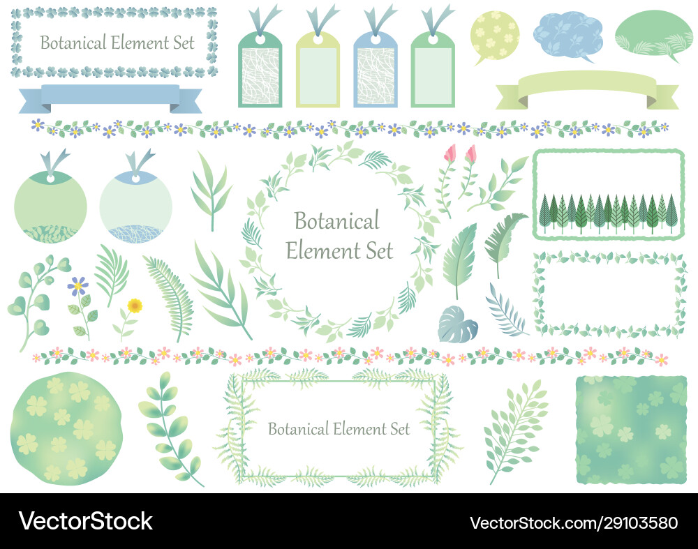 Set botanical graphic elements and frames Vector Image