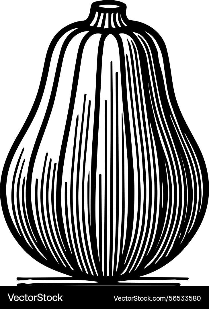 Simple icon of a squash logo design Vector Image