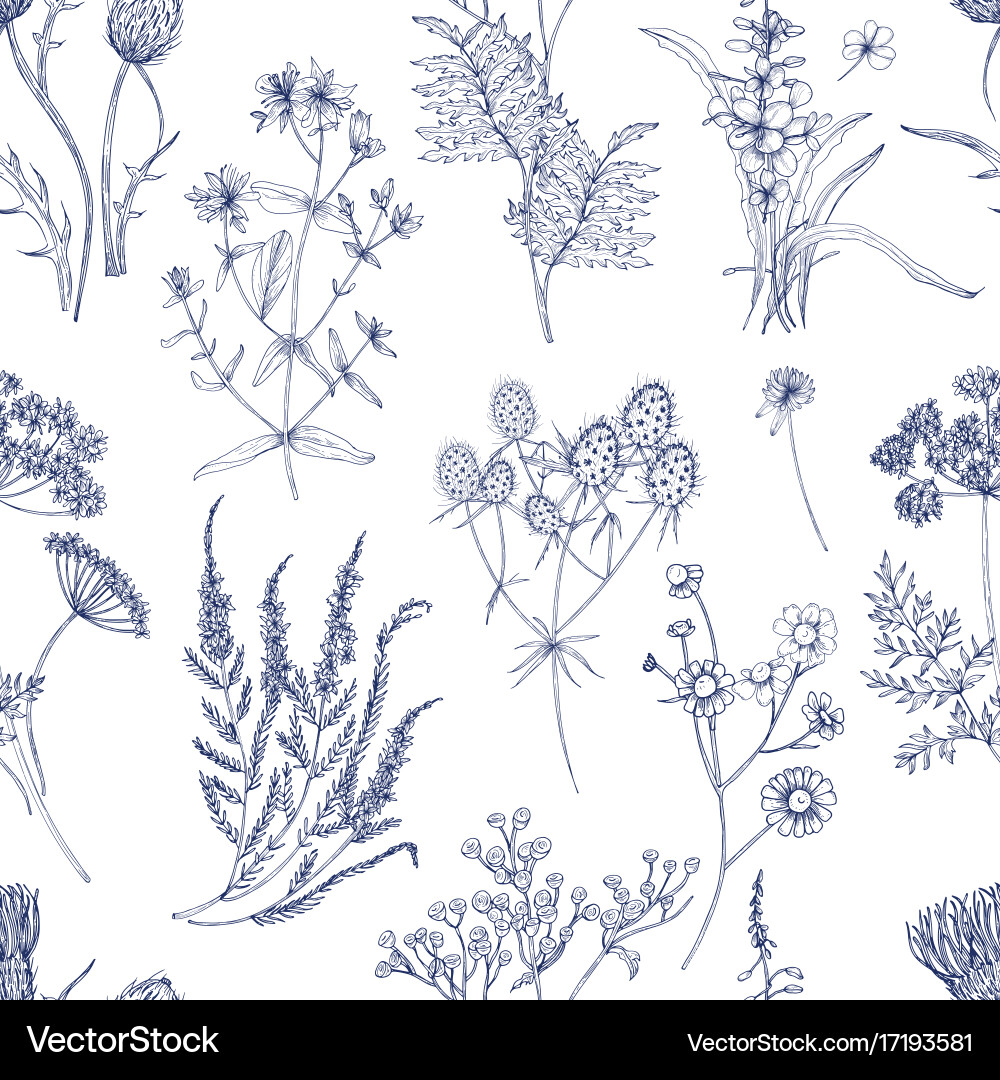 Meadow Herb Pattern Royalty Free Vector Image - VectorStock