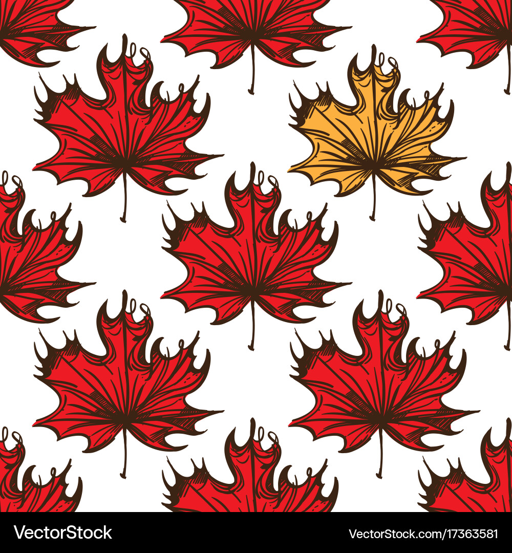 Seamless pattern with maple leaves of red color vector image