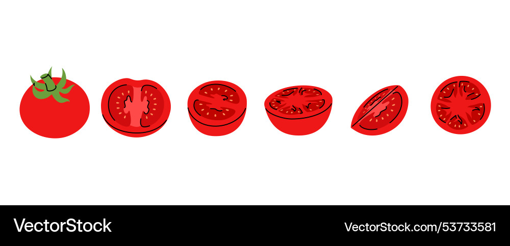 Set of depicting red tomato in multiple forms Set of depicting red tomato in multiple forms Vector Image