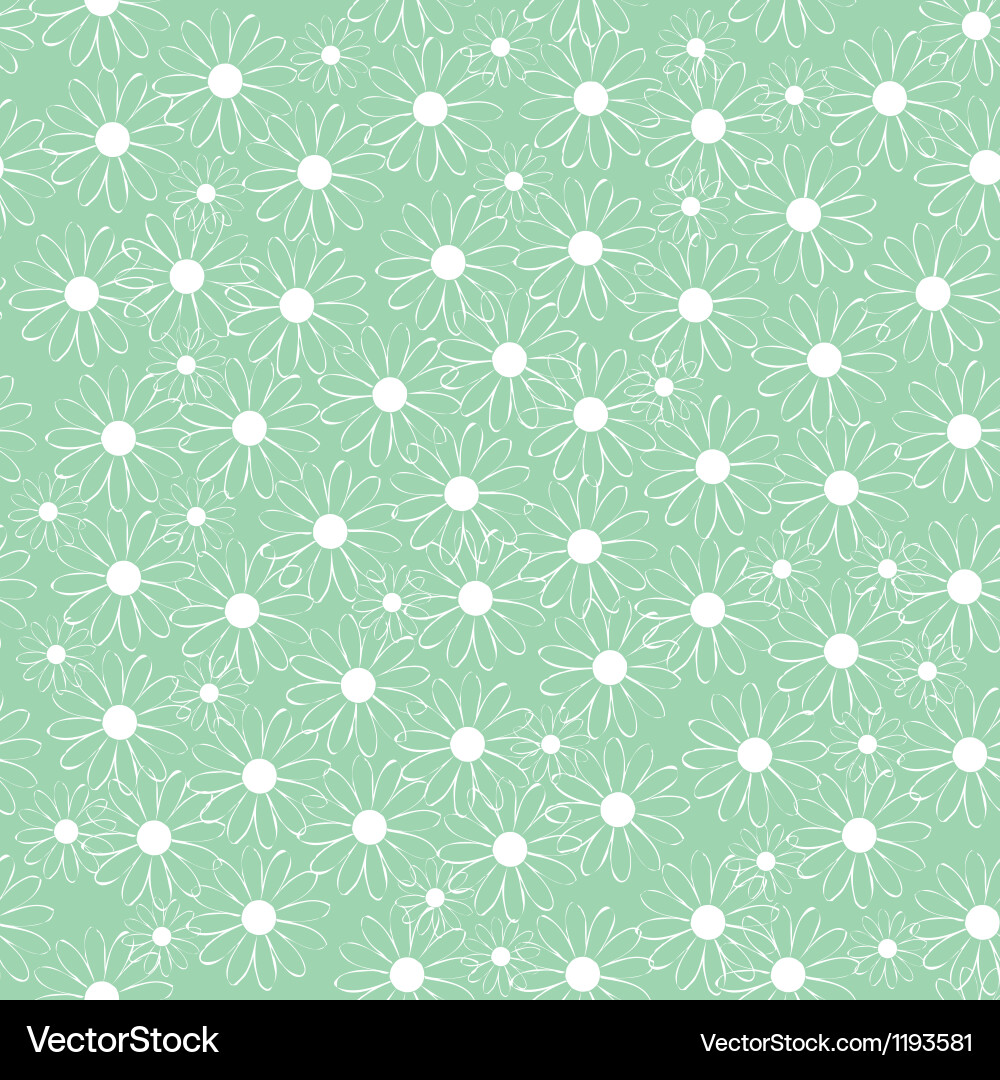White Daisies Pattern Royalty Free Vector Image