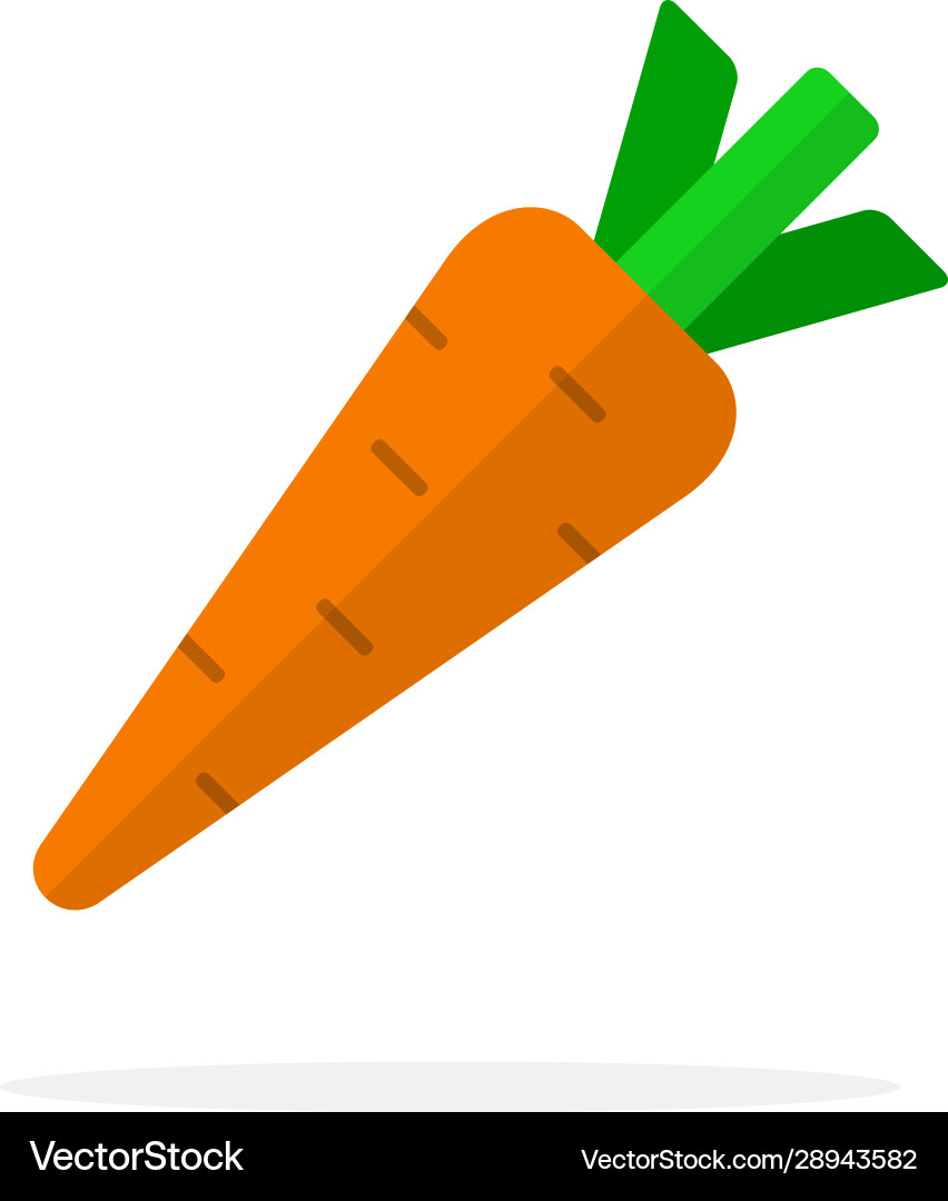 Carrot flat material design isolated object Carrot flat material design isolated object vector image