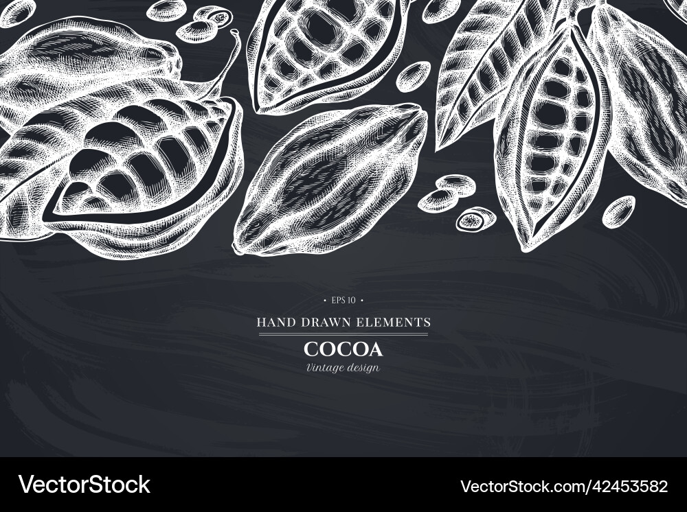 Monochrome design with chalk cocoa beans Monochrome design with chalk cocoa beans vector image