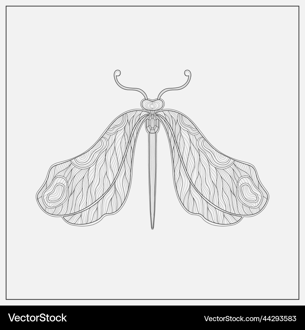 Art nouveau style dragonfly insect basic element Vector Image
