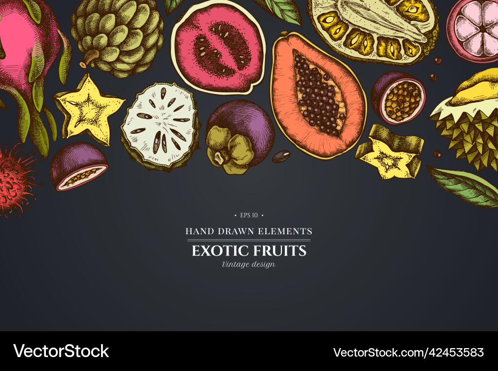Design on dark background with papaya guava Design on dark background with papaya guava vector image