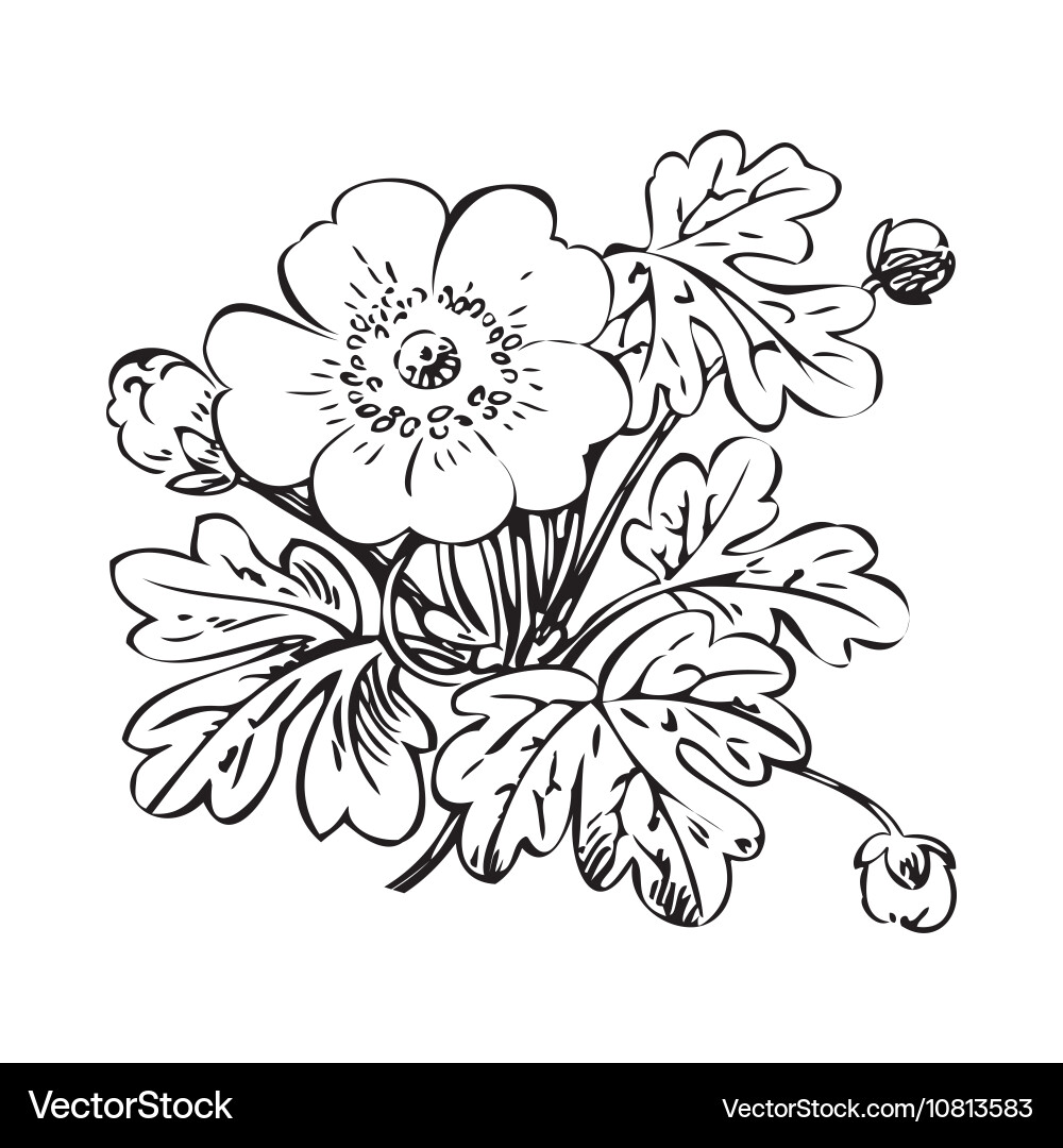Floral bush retro black on white hand drawn Vector Image