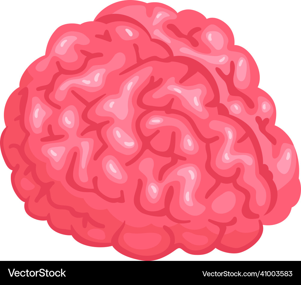 Human organs brain composition Royalty Free Vector Image