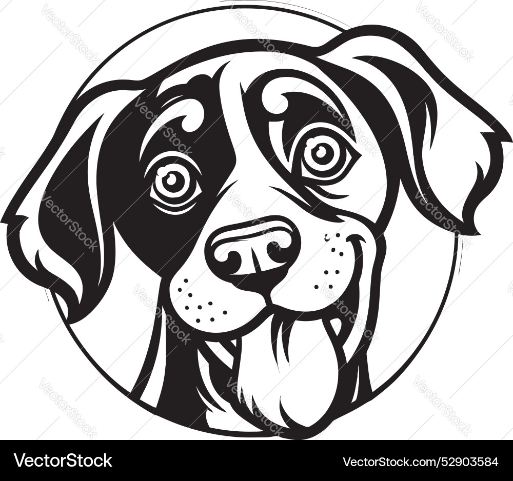 Dog playing fetch design running Vector Image