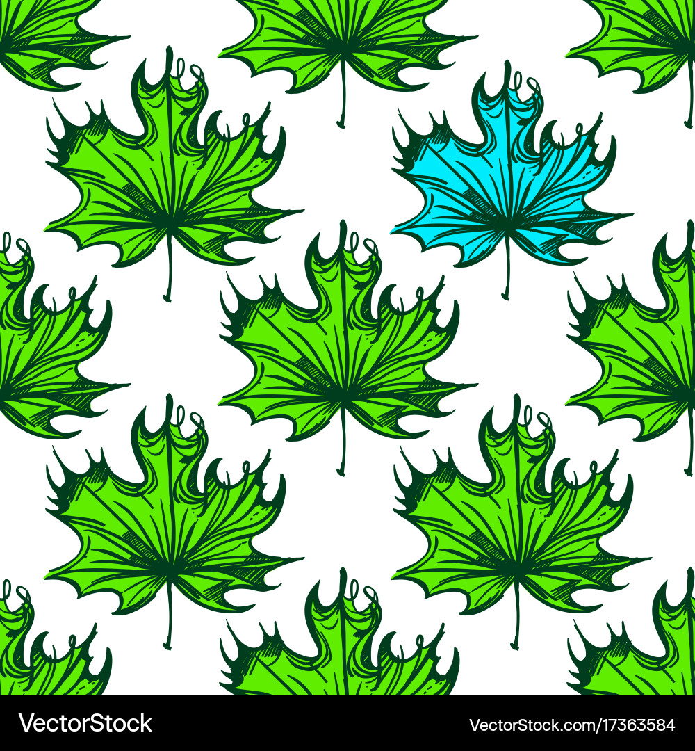 Seamless pattern with maple leaves of green color vector image