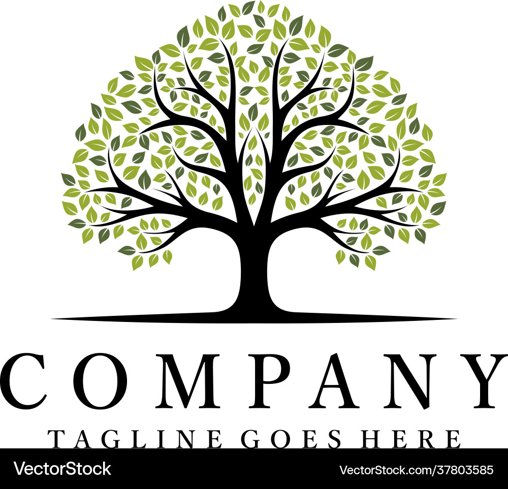 Circle tree and root abstract logo design Vector Image