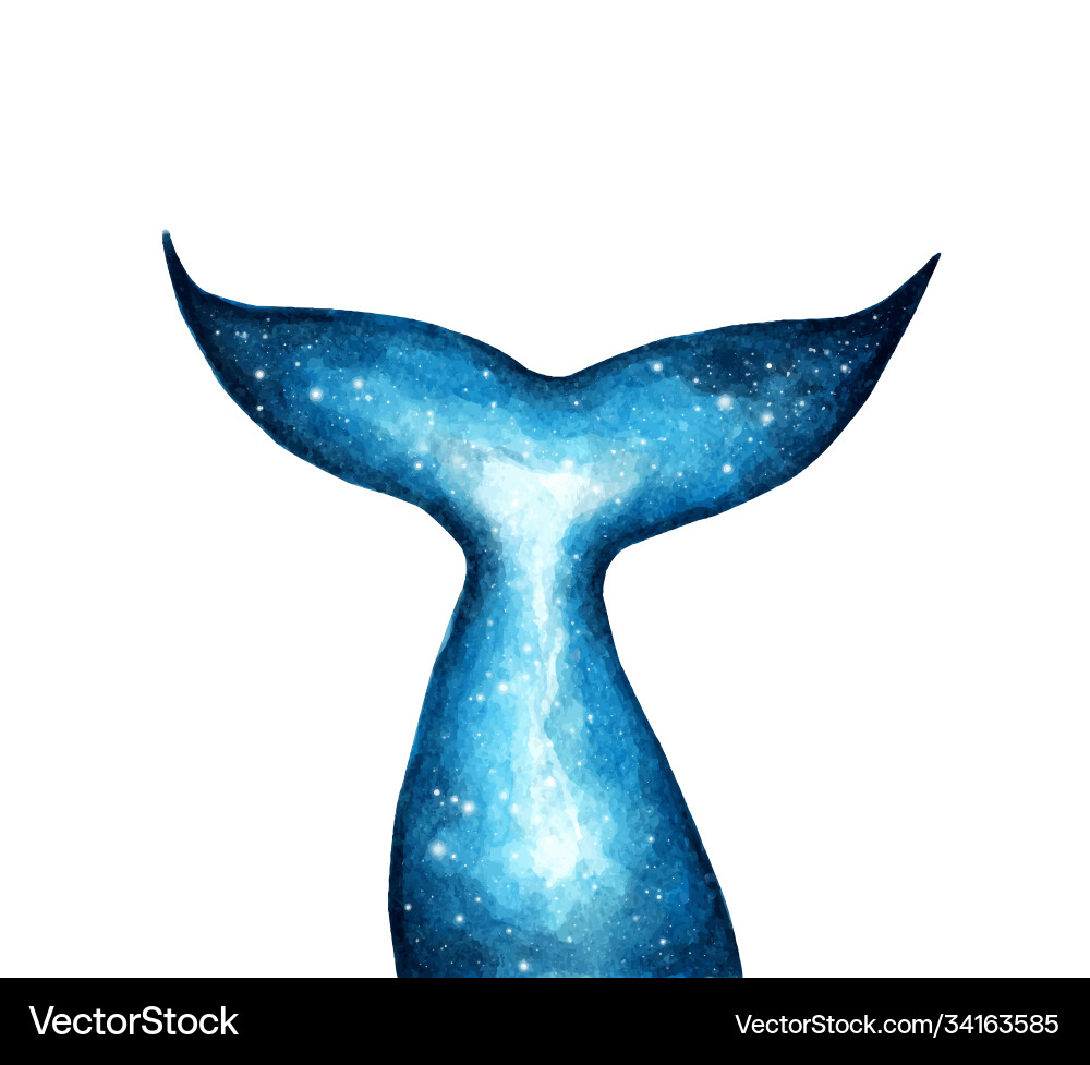 Hand painted silhouette whale tail Hand painted silhouette whale tail vector image