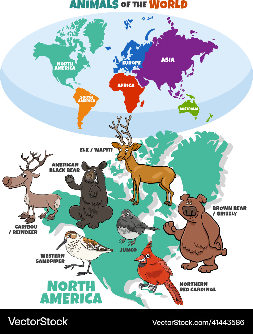 Educational with cartoon north american animals Educational with cartoon north american animals vector image