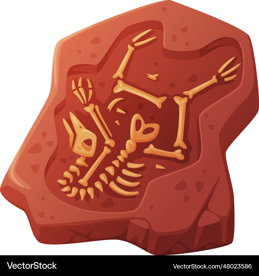 Fossil obtained by digging rested in soil Fossil obtained by digging rested in soil vector image