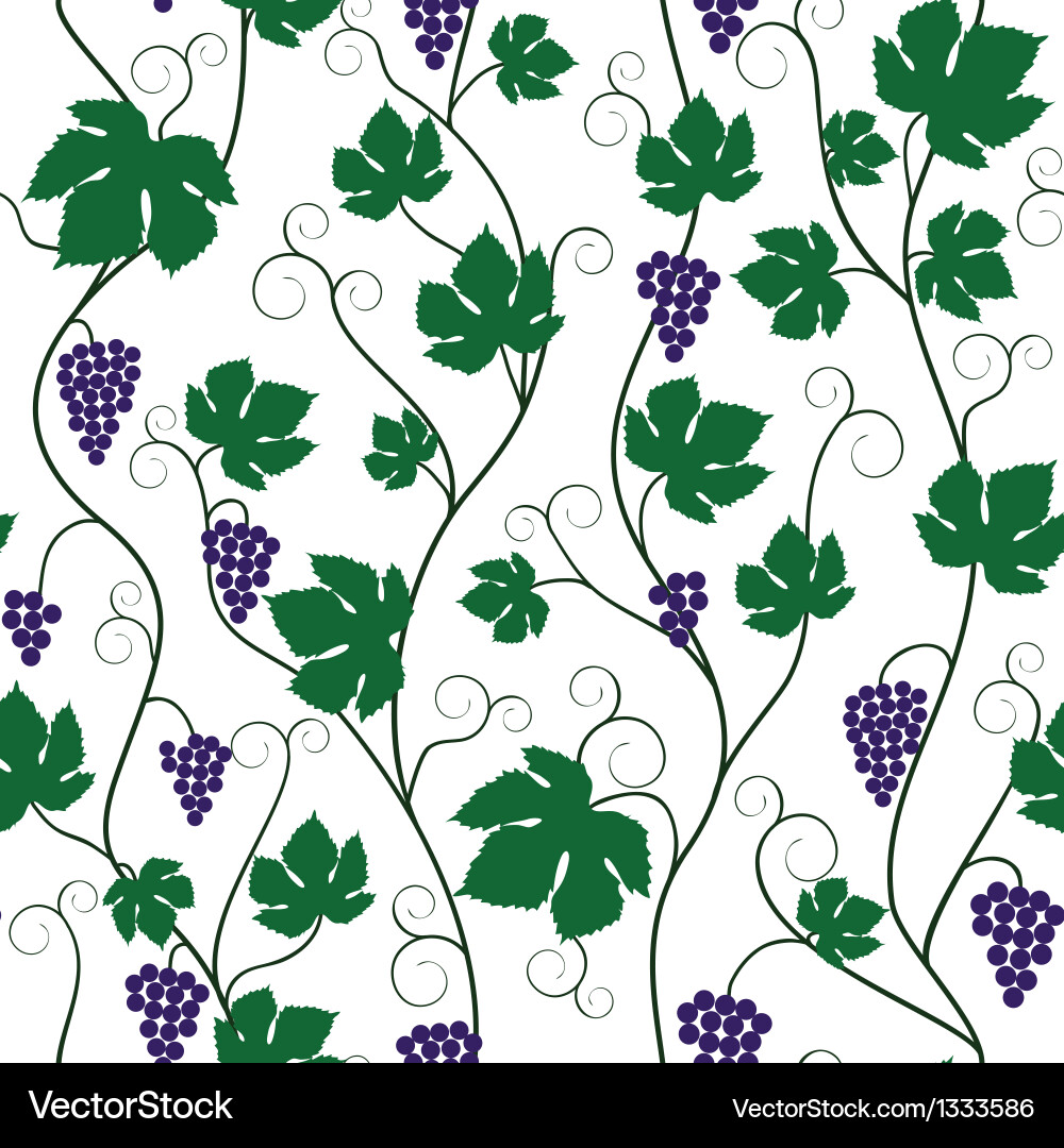 Grapevine Pattern vector image