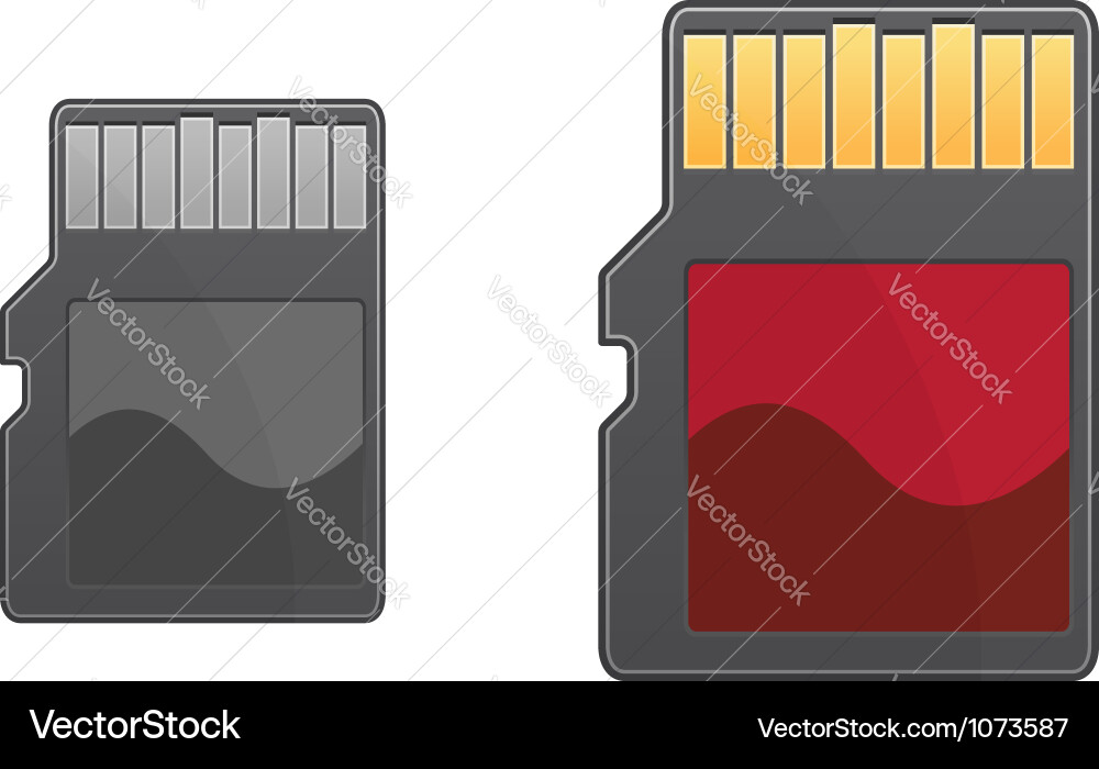 SD Memory Card vector image