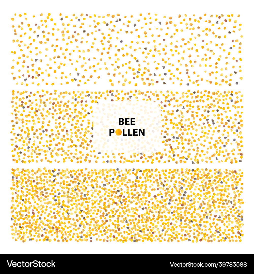 Bee pollen texture background perga pattern Vector Image