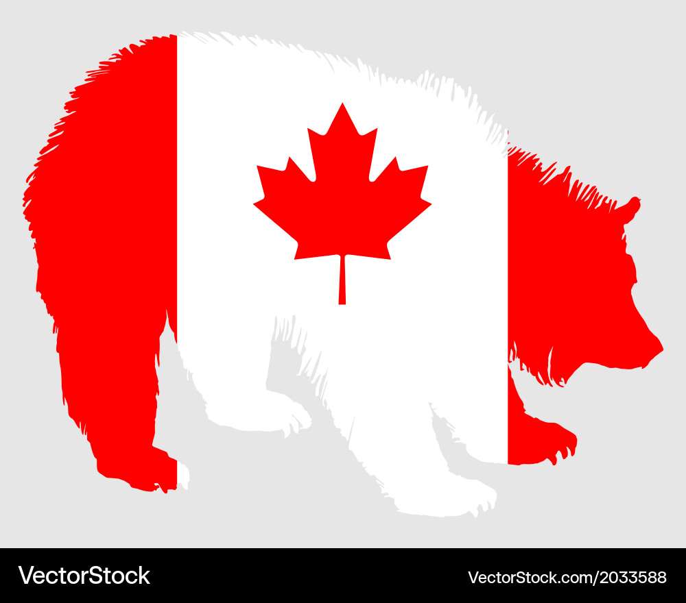Grizzly Bear in Canadian Flag Vector Image