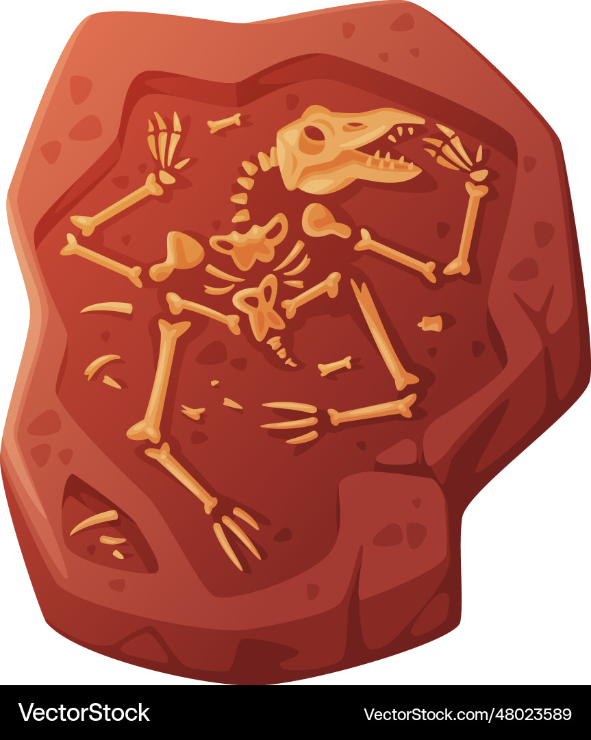 Fossil obtained by digging rested in soil Fossil obtained by digging rested in soil vector image