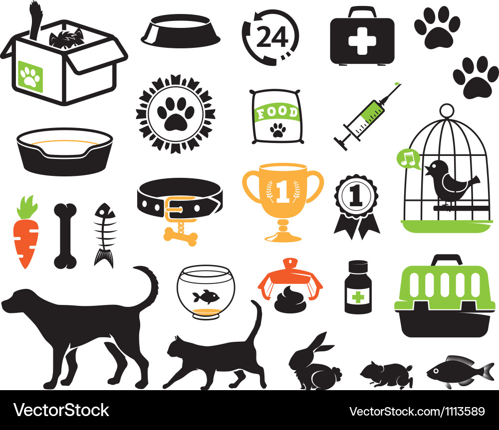 Petshop set Royalty Free Vector Image - VectorStock