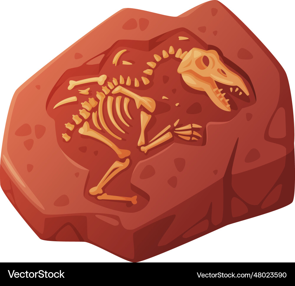 Fossil obtained by digging rested in soil Fossil obtained by digging rested in soil vector image