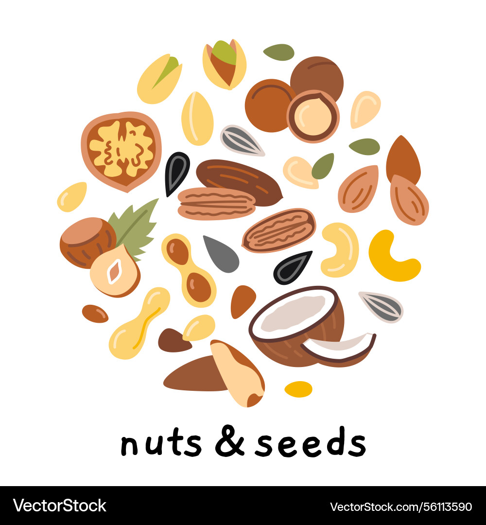Nuts seeds and kernelsset in circle shape ideal Vector Image
