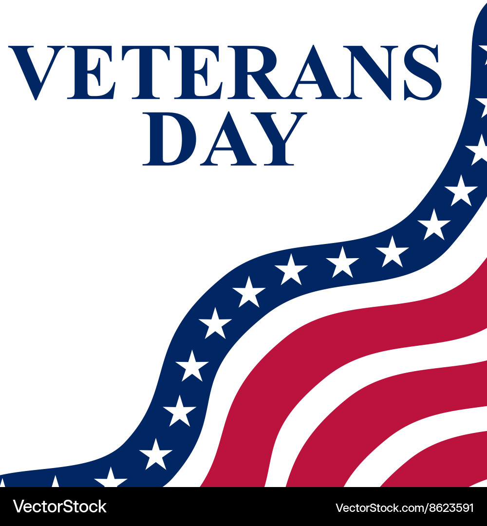Veterans Day Celebration Vector Image