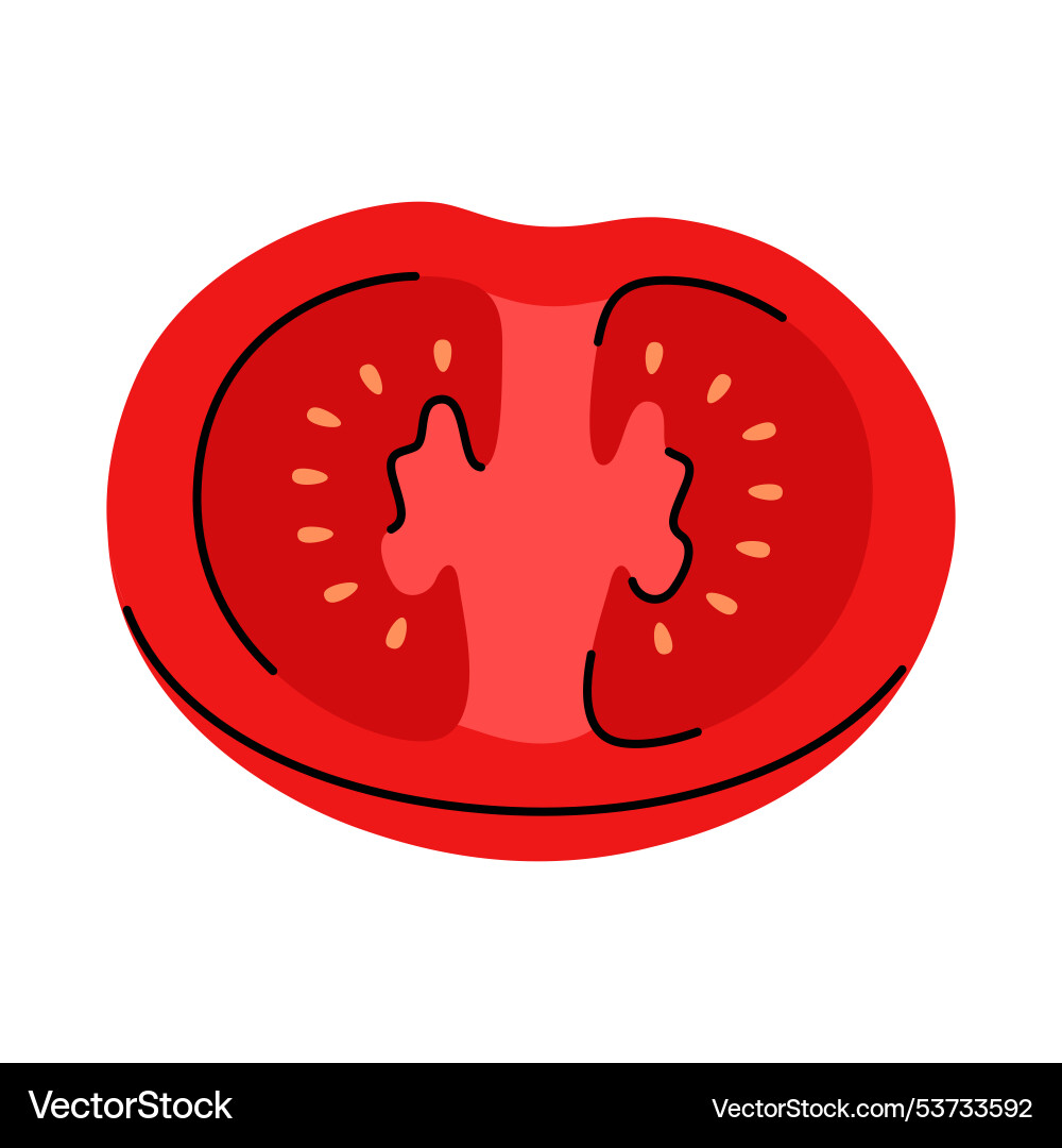 Red tomato half with visible seeds in a simple Vector Image