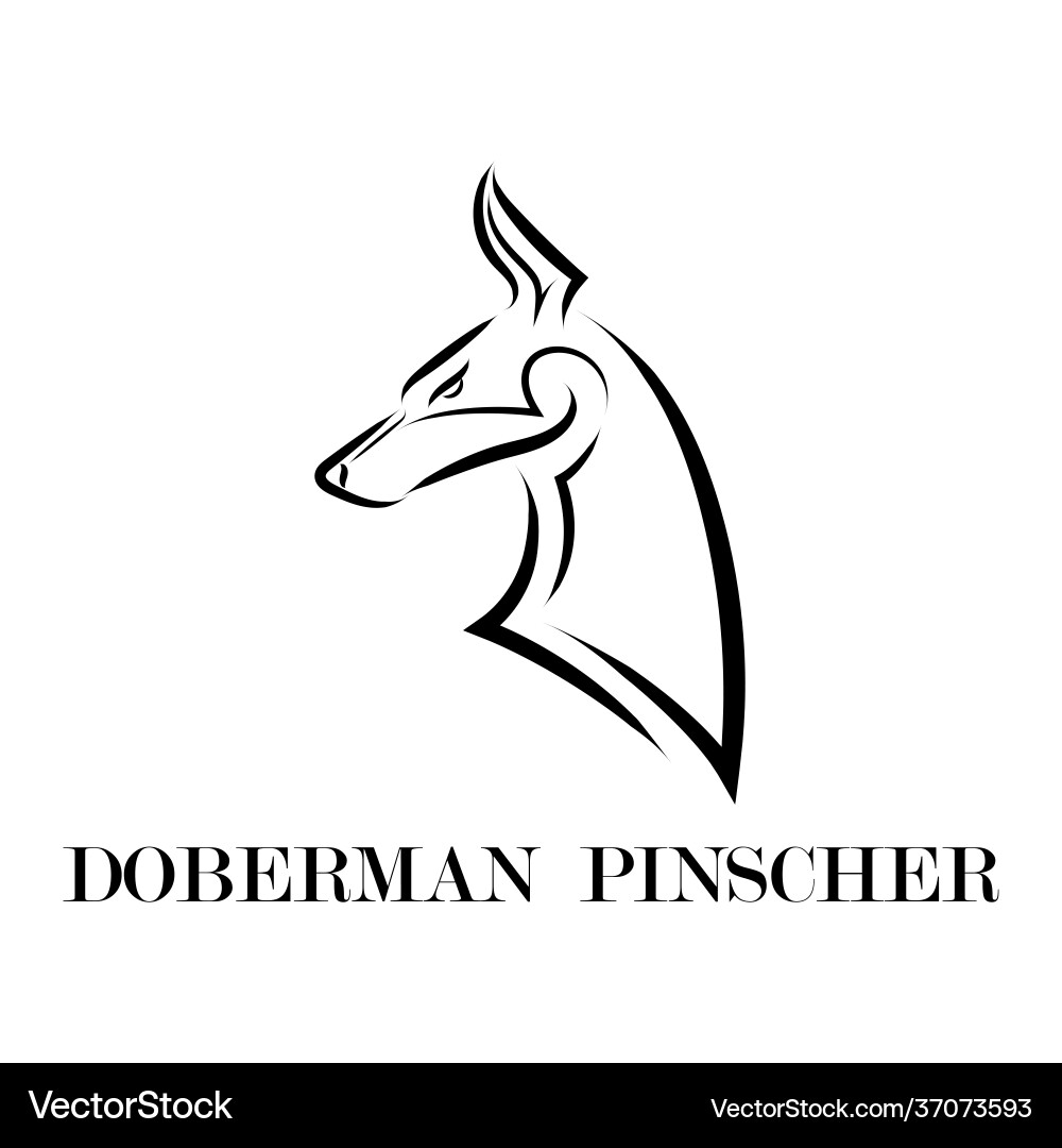 Doberman Pinscher Head Line Art Vector Image