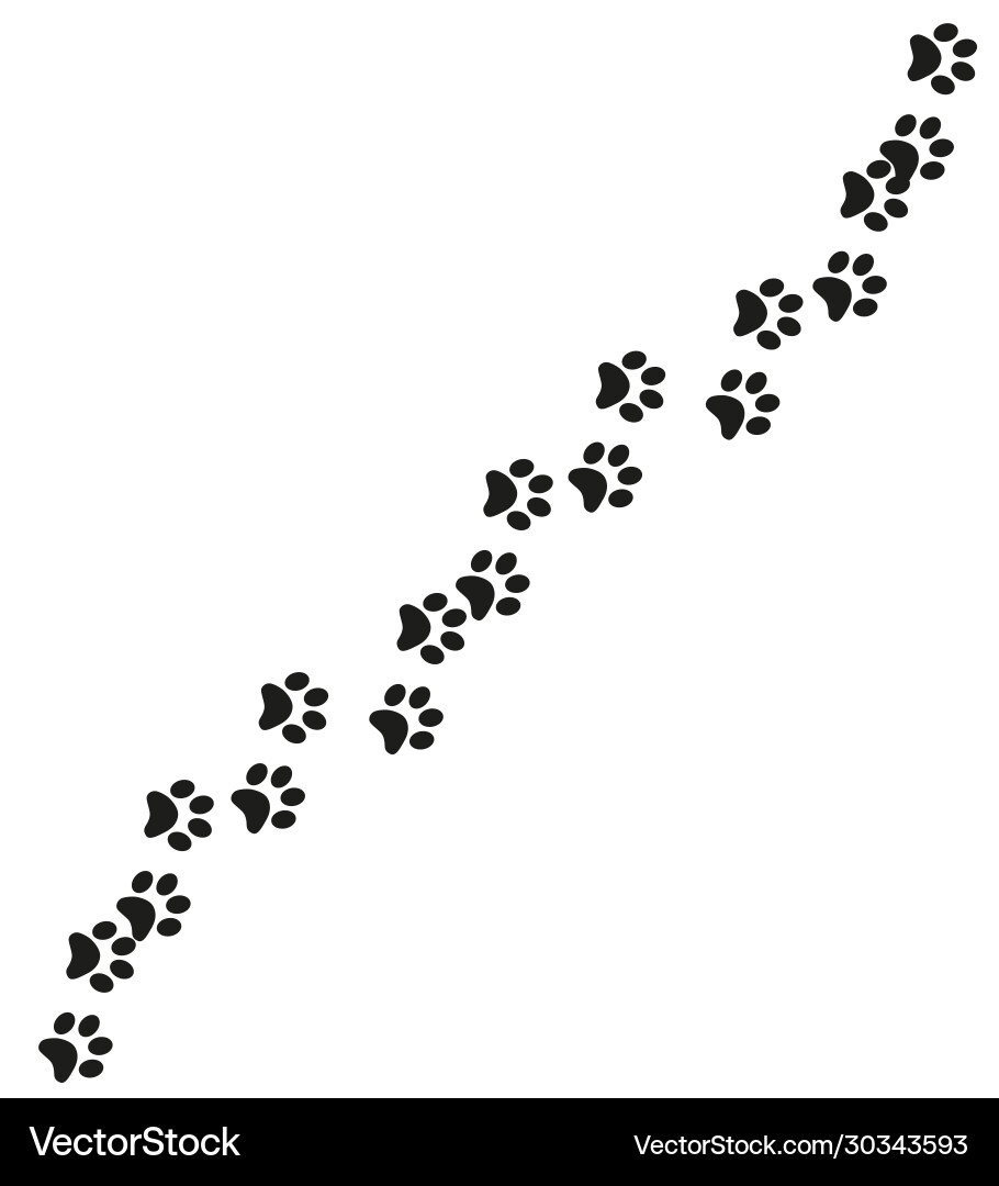 Track cat dog tracks footprint design Track cat dog tracks footprint design vector image