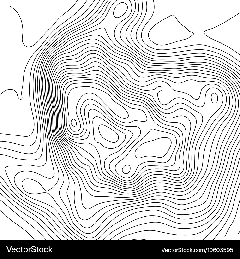 Topographic map background concept with space Vector Image
