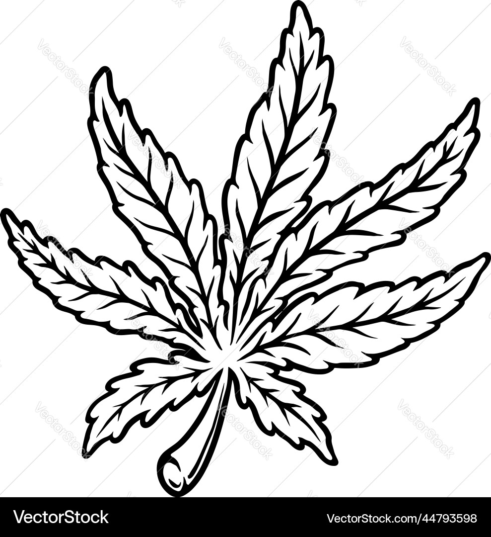 Cannabis Leaf Element vector image