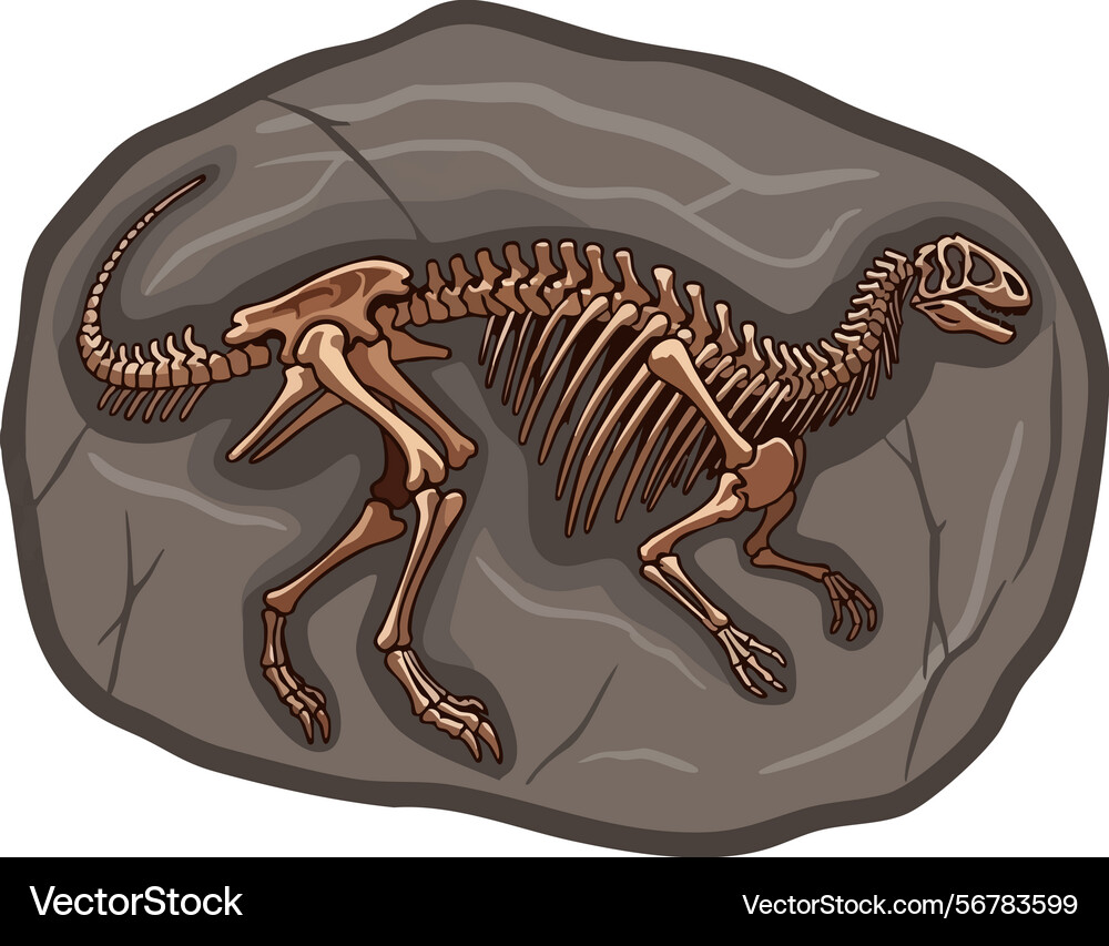 Dinosaur fossil skeleton embedded in rock Vector Image