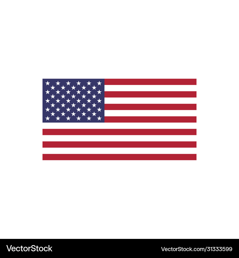 United States Flag - Stars and Stripes vector image