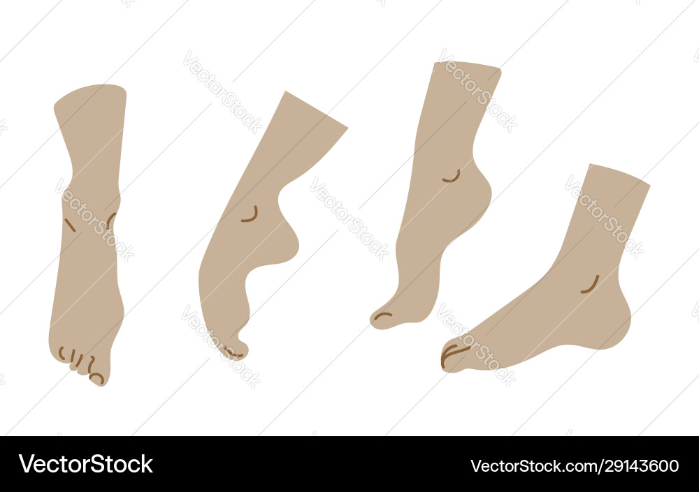A set different feet all objects are grouped A set different feet all objects are grouped vector image