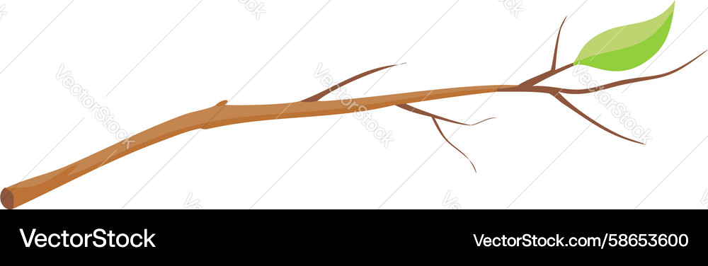 Rustic Tree Branch with Leaves Vector Image