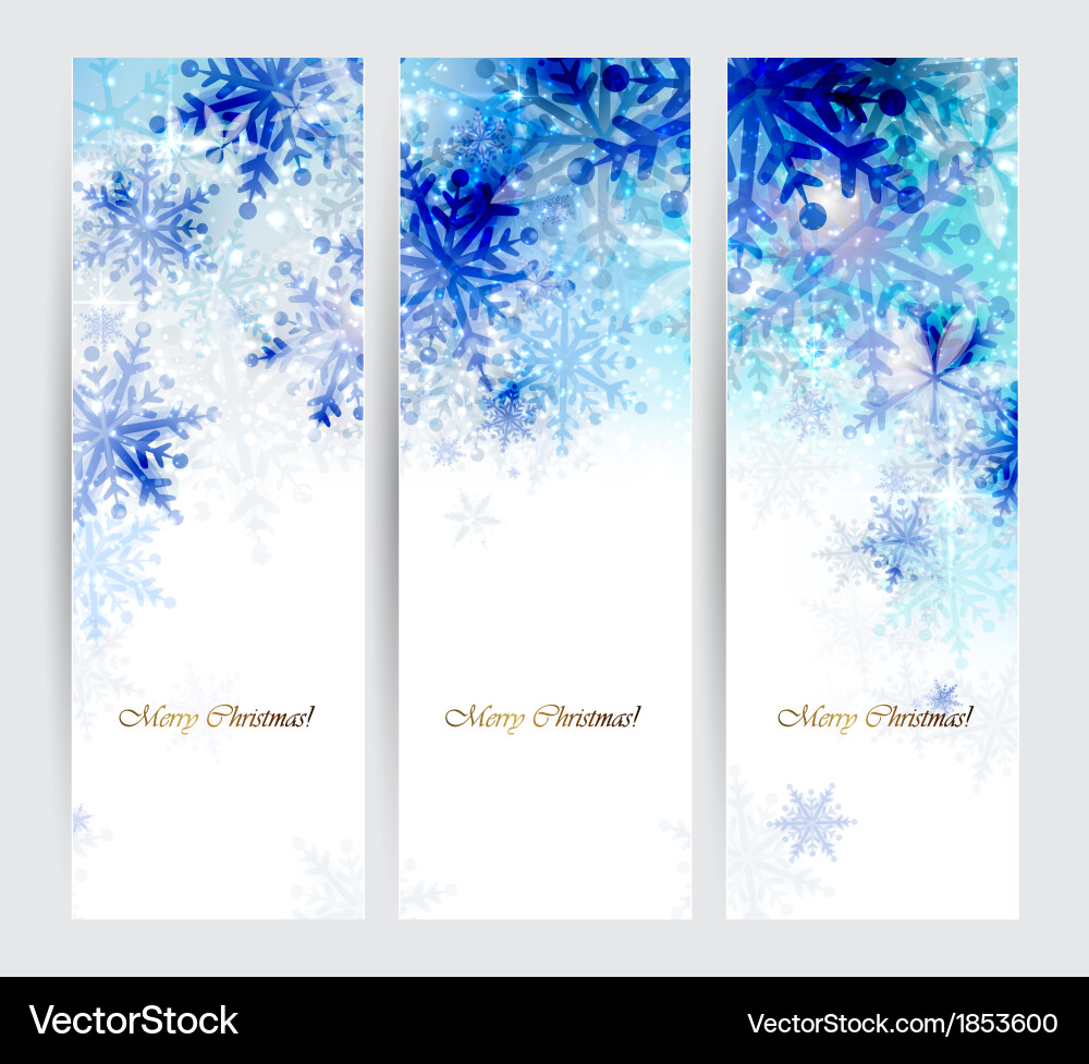 Snowflake Header Trio Vector Image