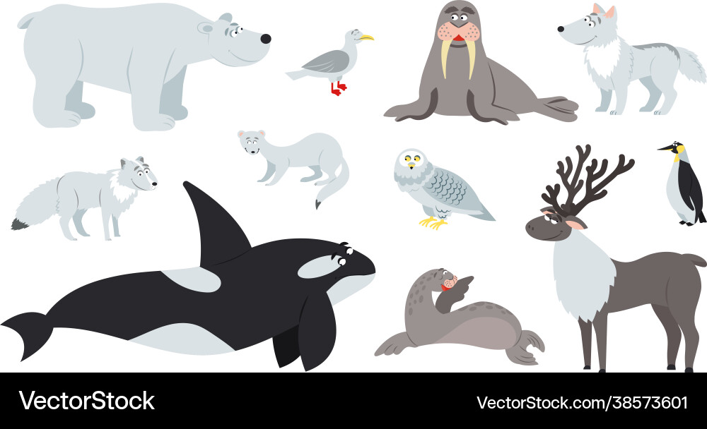 Arctic Animals Cartoon Set Vector Image
