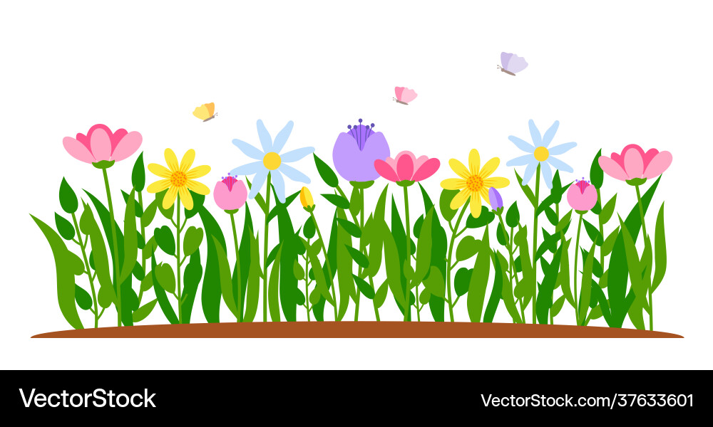 Spring border flower tulip cartoon grass Vector Image