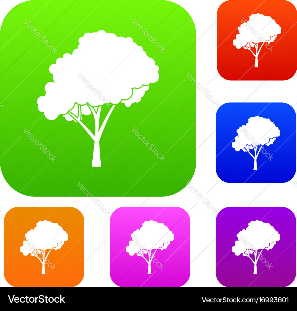 Tree with a rounded crown set collection vector image