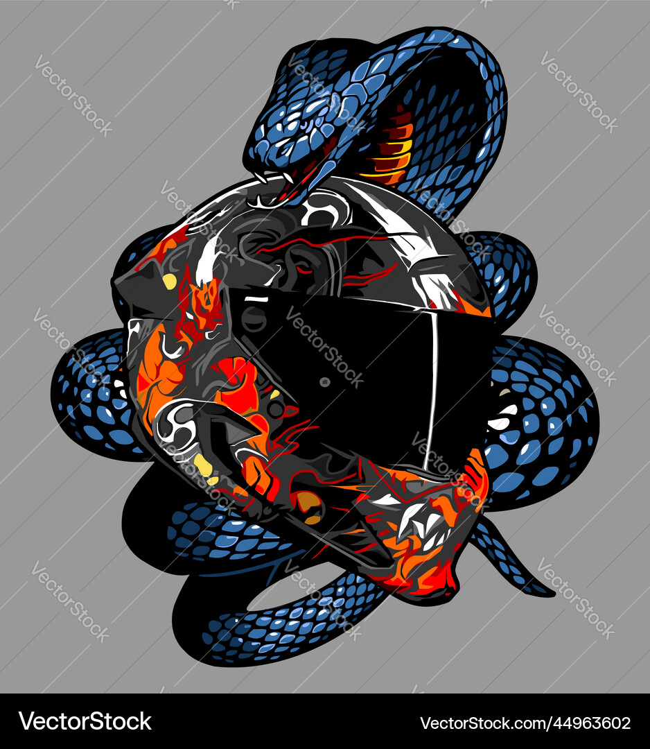 Gray devil pattern helmet wrapped around a snake Vector Image